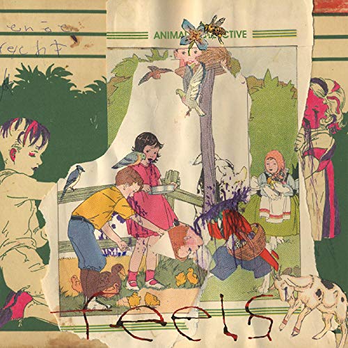 Animal Collective - Feels Vinyl - PORTLAND DISTRO
