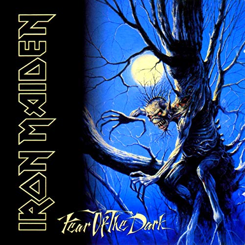 Iron Maiden - Fear Of The Dark Vinyl - PORTLAND DISTRO