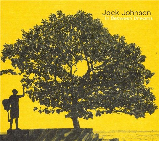 Jack Johnson - In Between Dreams Vinyl - PORTLAND DISTRO