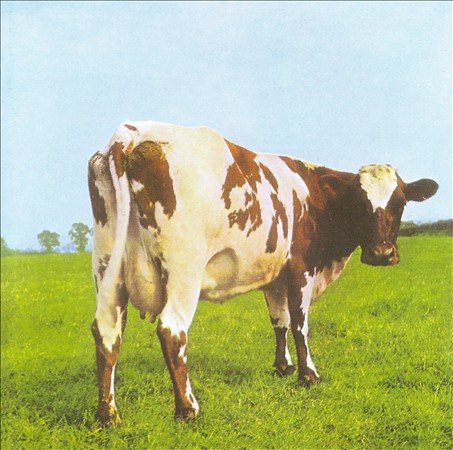 Pink Floyd - Atom Heart Mother (Remastered,180 Gram Vinyl, Gatefold LP Jacket) Vinyl - PORTLAND DISTRO