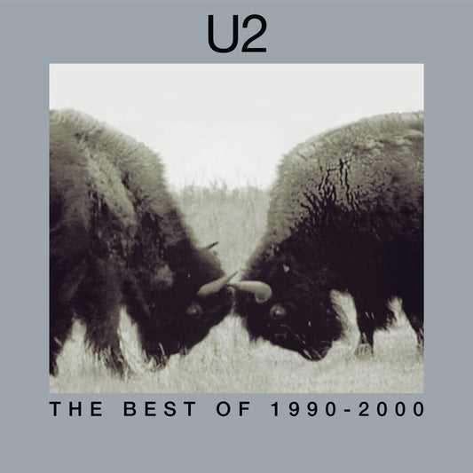U2 - The Best Of 1990-2000 (180 Gram Vinyl) (2 Lp's) Vinyl - PORTLAND DISTRO