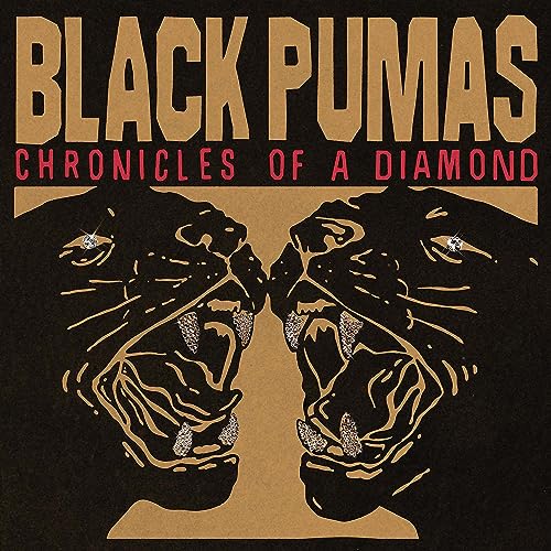 Black Pumas - Chronicles Of A Diamond CD - PORTLAND DISTRO