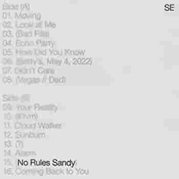 Sylvan Esso - No Rules Sandy (Indie Exclusive, Limited Edition, Colored Vinyl) Vinyl - PORTLAND DISTRO