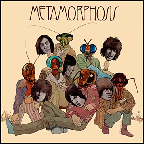 The Rolling Stones - Metamorphosis [LP] Vinyl - PORTLAND DISTRO